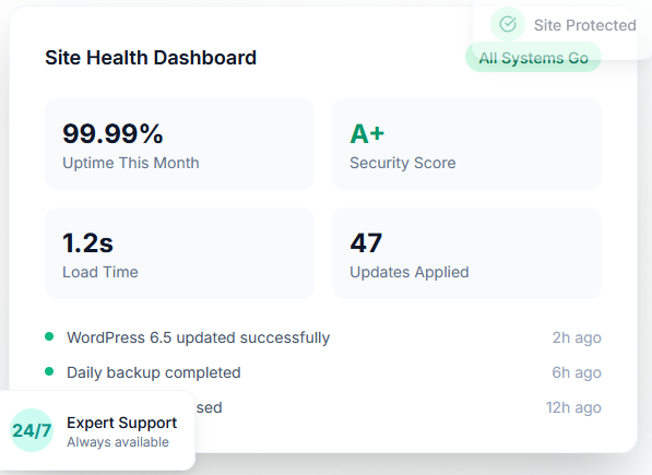 Professional WordPress Maintenance Services